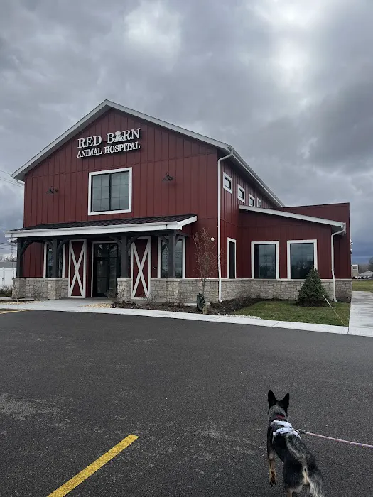 Red Barn Animal Hospital of Gilberts 4