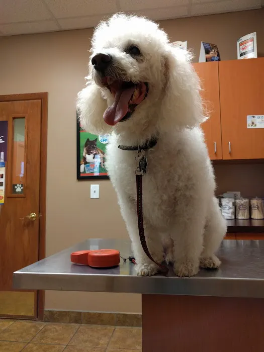 Elgin Animal Clinic 3