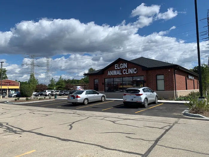 Elgin Animal Clinic 8