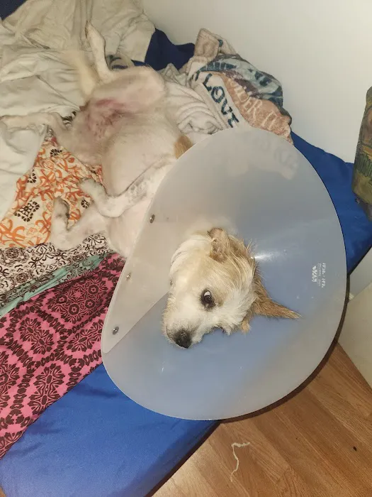 Elgin Animal Clinic 7