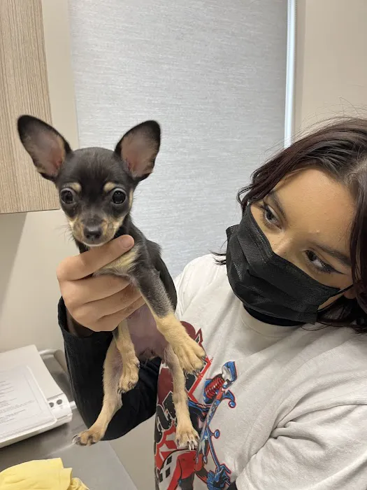 Elgin Animal Clinic 4