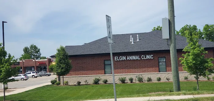 Elgin Animal Clinic 6