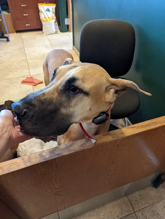 Animal Clinic of South Elgin 3