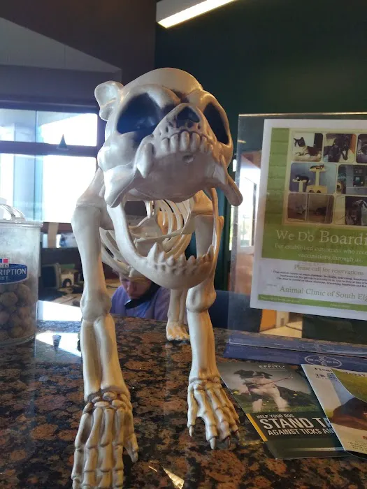 Animal Clinic of South Elgin 7