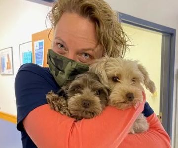Dundee Animal Hospital of Elgin