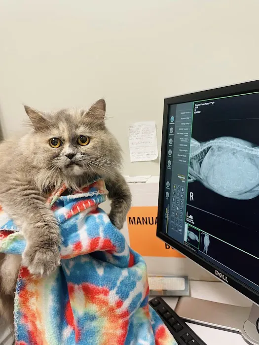 Bowes Animal Hospital 2