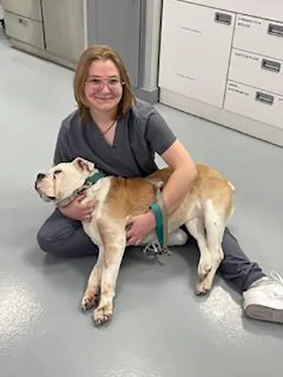 Bowes Animal Hospital 4