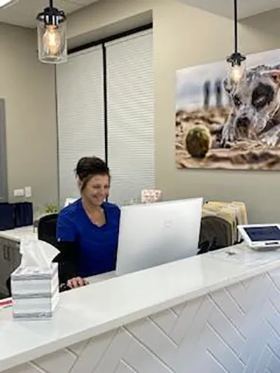 Bowes Animal Hospital 10