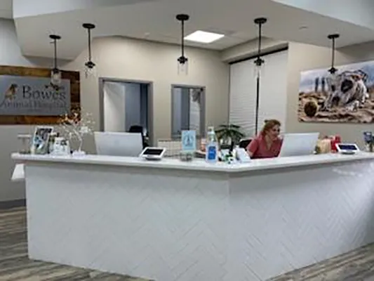 Bowes Animal Hospital 9