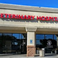 All-Star Animal Hospital: Kara Ericksen DVM, Matt Ericksen DVM ico