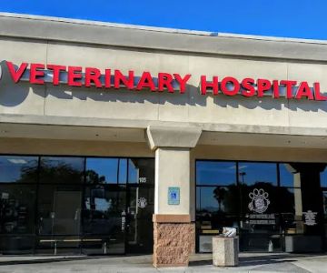 All-Star Animal Hospital: Kara Ericksen DVM, Matt Ericksen DVM