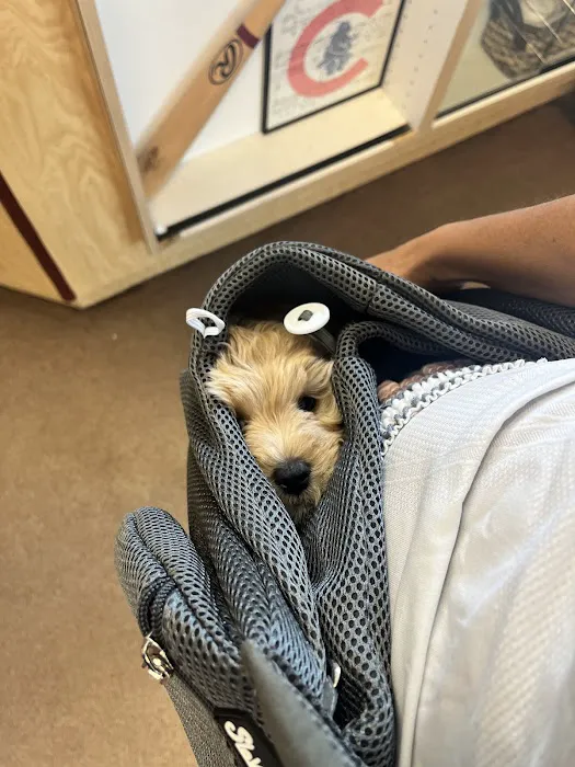 All-Star Animal Hospital 7