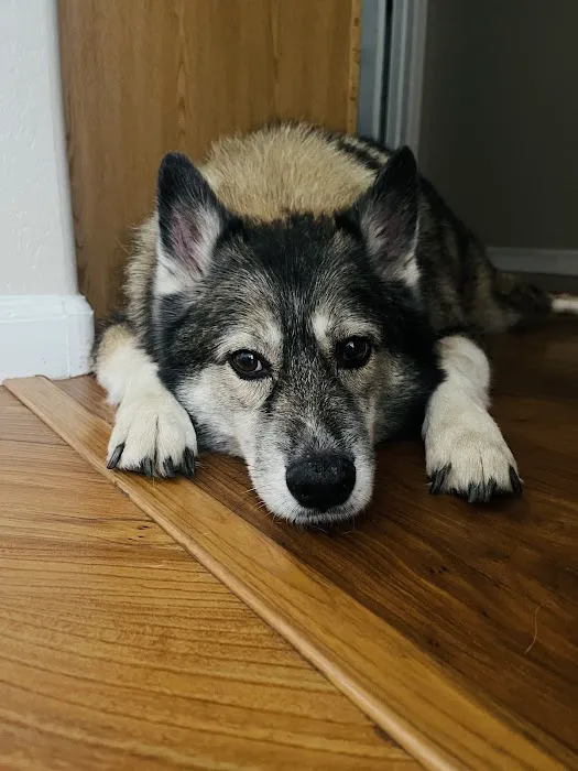KC In-Home Pet Euthanasia 4