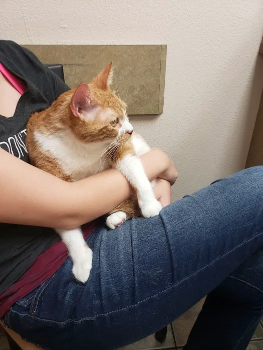 Lovet Pet Health Care - Goodyear 1