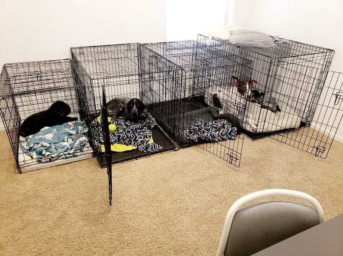 Lovet Pet Health Care - Goodyear 7