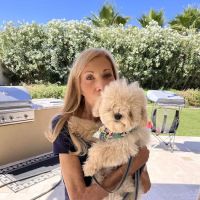 Legacy Animal Hospital ico
