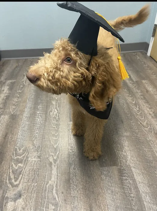 easyvet Veterinarian Goodyear 2