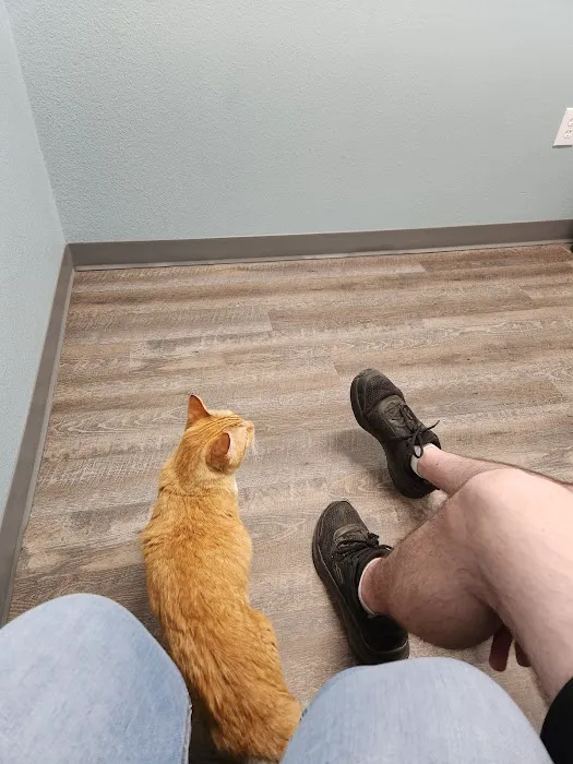easyvet Veterinarian Goodyear 8
