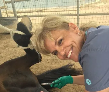 West Valley Equine Veterinary Services, LLC 1