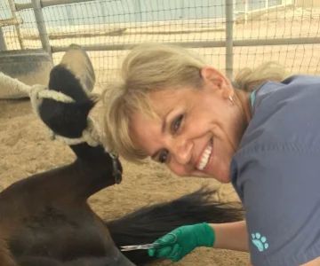 West Valley Equine Veterinary Services, LLC
