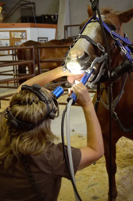 West Valley Equine Veterinary Services, LLC 4