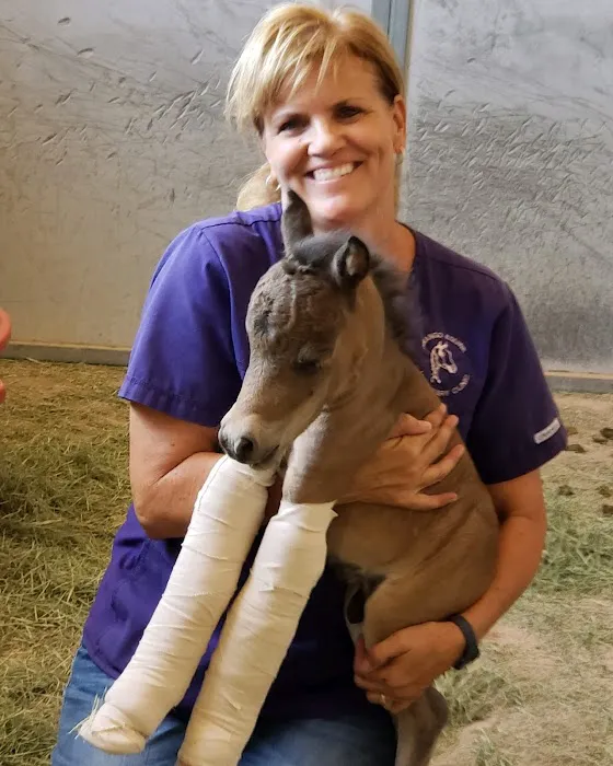 West Valley Equine Veterinary Services, LLC 7