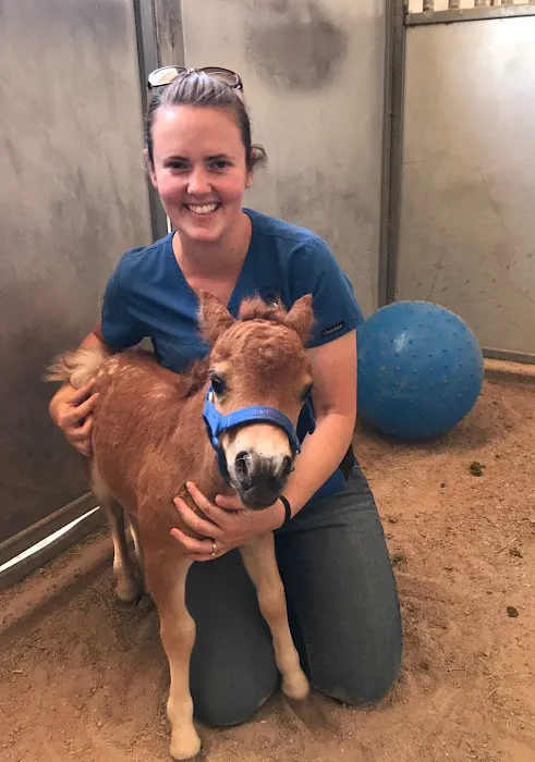 West Valley Equine Veterinary Services, LLC 2