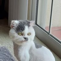 Rawls Veterinary Hospital ico