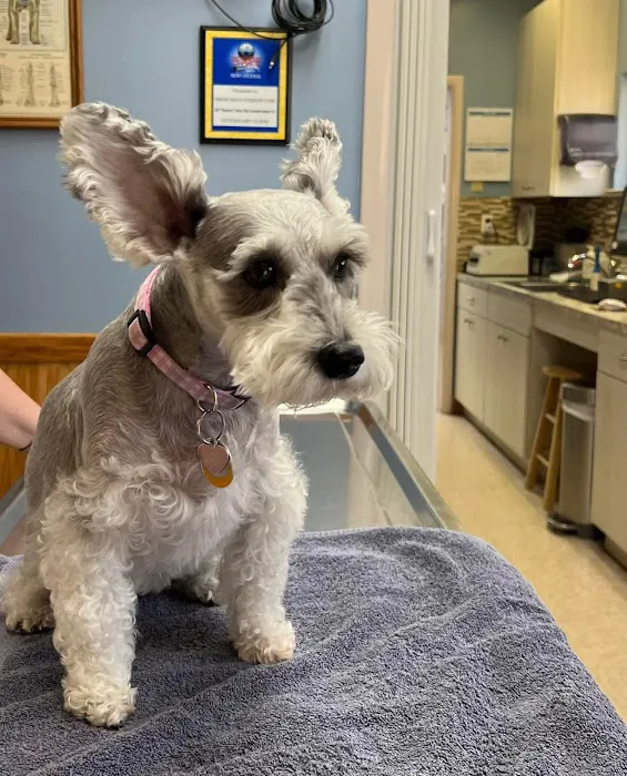 Ormond Beach Family Vet 2