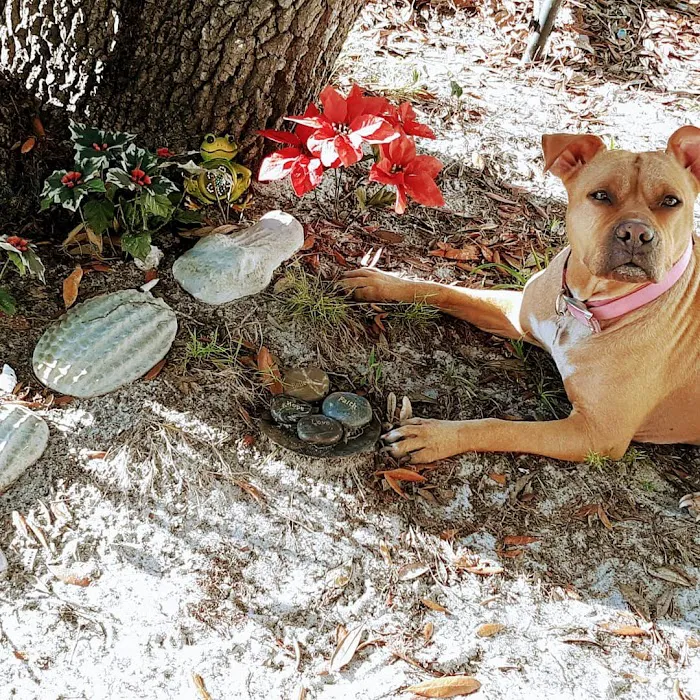 Hardee Animal Clinic 12