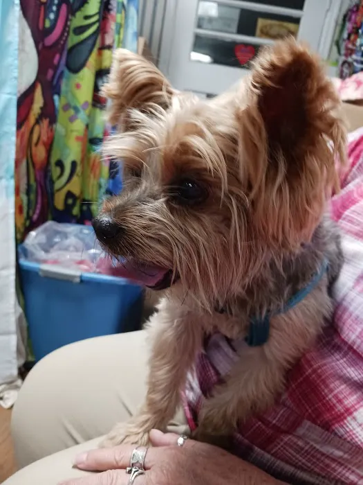 Hardee Animal Clinic 12