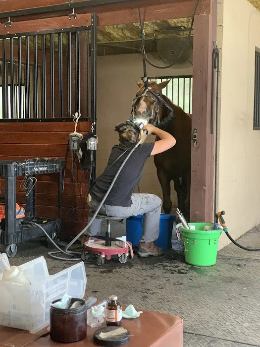 Steele Equine Veterinary Services & Performance Horse Center 12