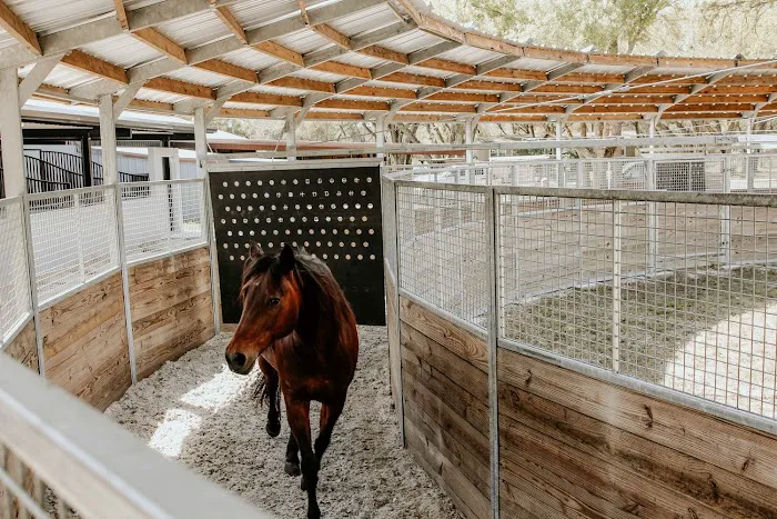 Steele Equine Veterinary Services & Performance Horse Center 12