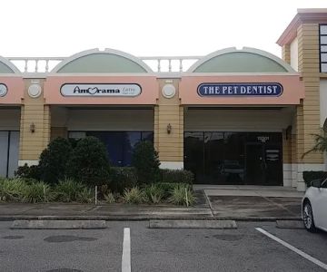 The Pet Dentist