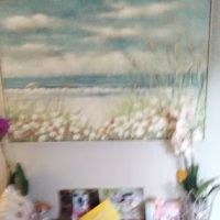 Pet Angel Memorial Center ico