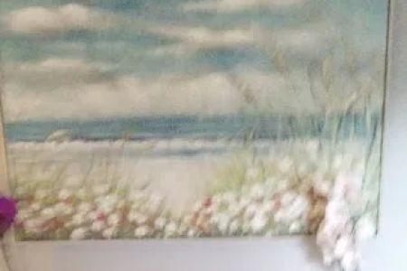 Pet Angel Memorial Center