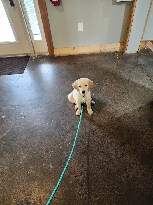 The Animal Clinic of Centralia 2
