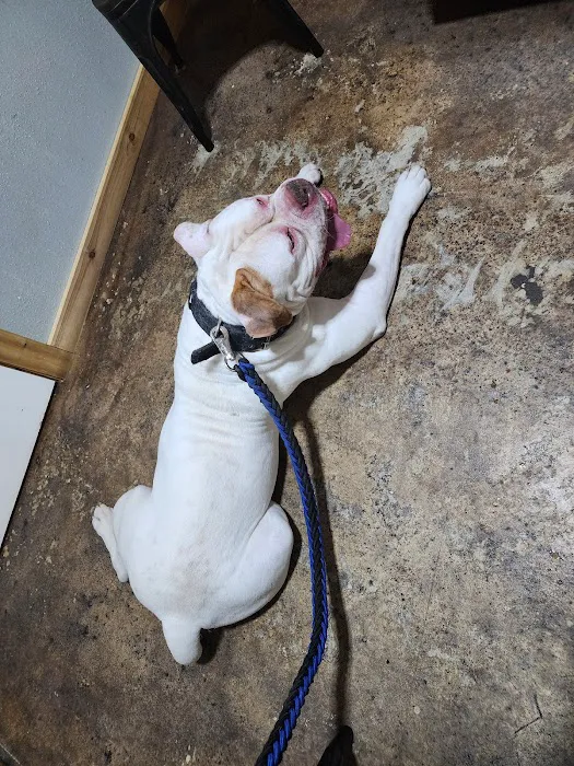 The Animal Clinic of Centralia 6
