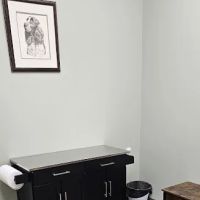 White Oak Veterinary Urgent Care ico