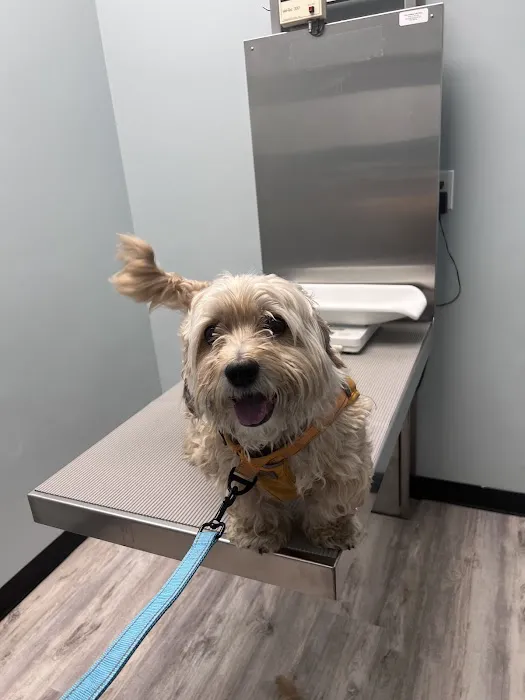Heritage Animal Hospital 6