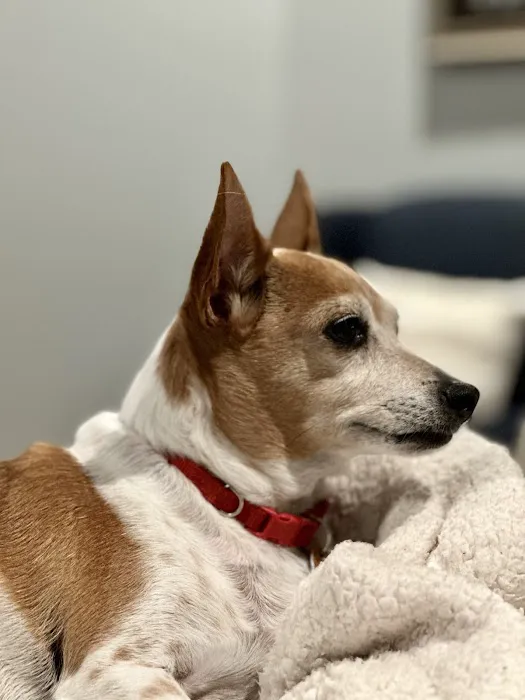 Heritage Animal Hospital 5