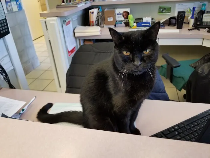 Sterling Park Animal Hospital 1