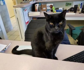 Sterling Park Animal Hospital