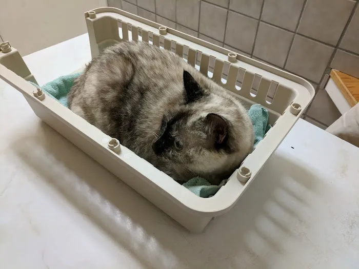 Sterling Park Animal Hospital 3