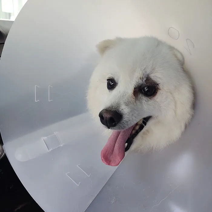 Sterling Park Animal Hospital 6