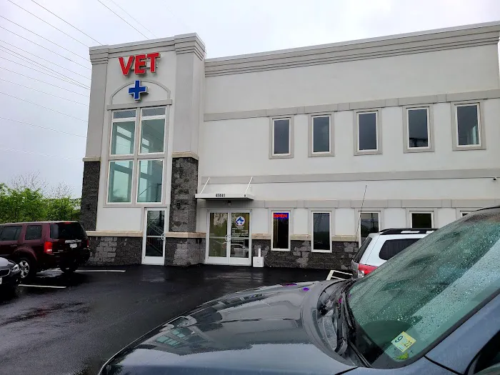Church Road Animal Hospital (Full Service Animal Hospital) 12