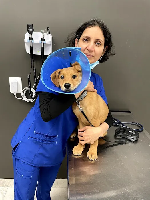 Church Road Animal Hospital (Full Service Animal Hospital) 12