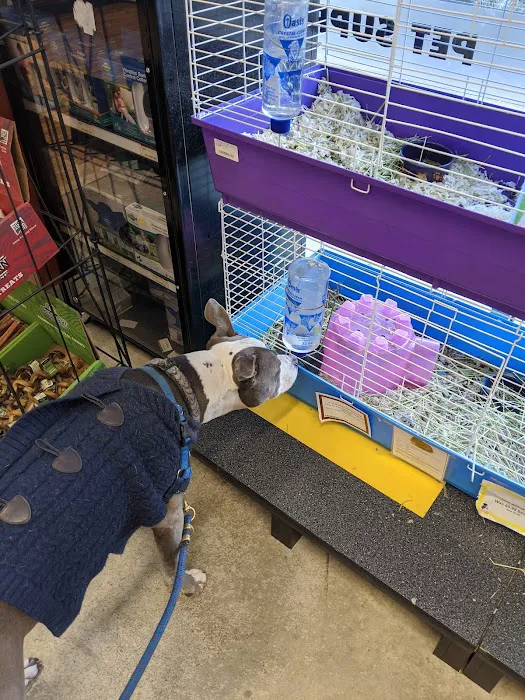 Cascades Pet Hospital 9