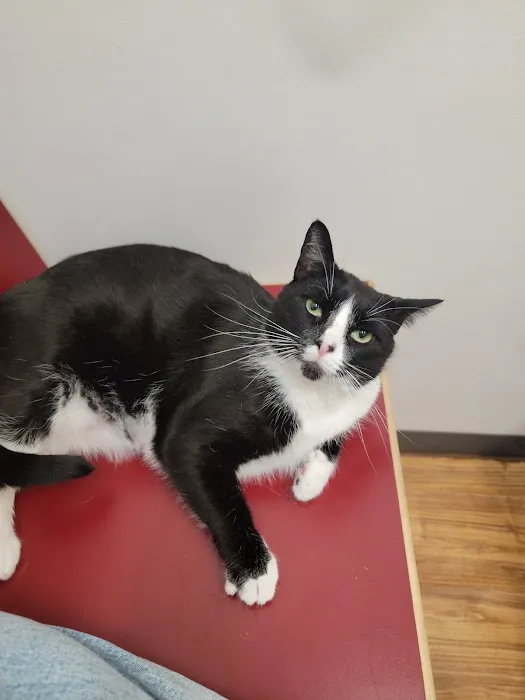 Cascades Pet Hospital 5