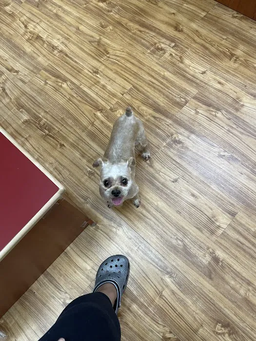 Cascades Pet Hospital 3